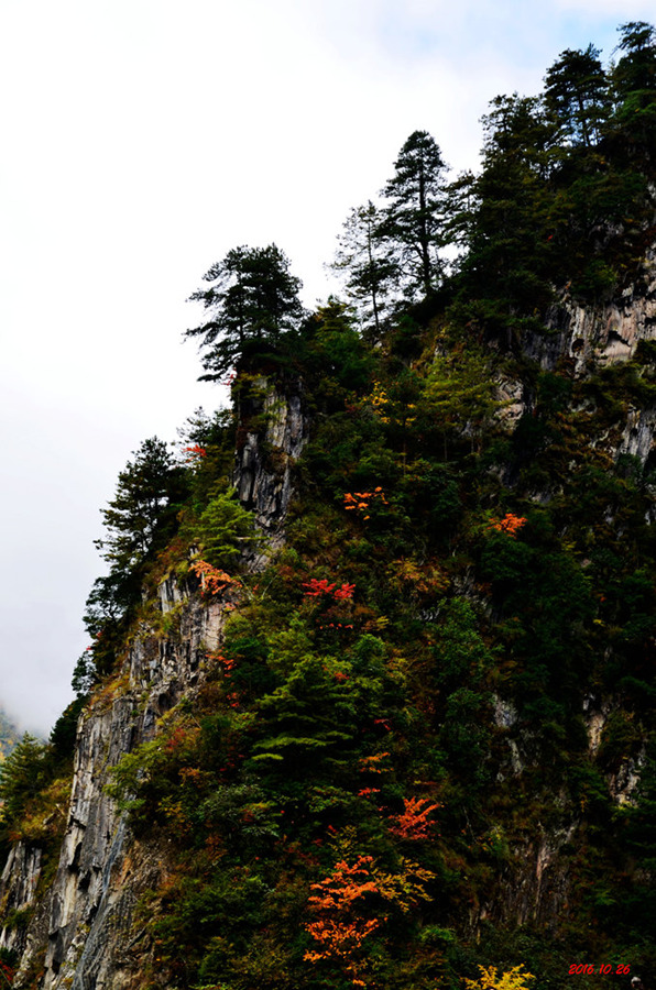 dsc_2865.jpg