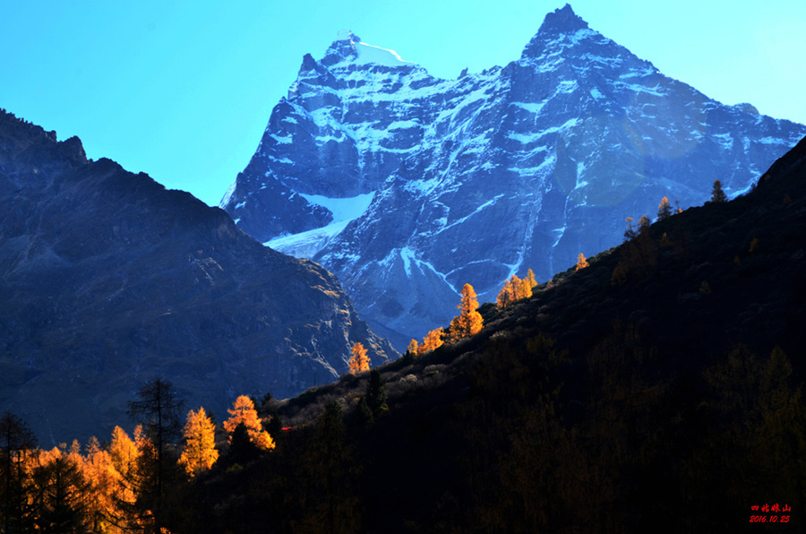 dsc_2297.jpg