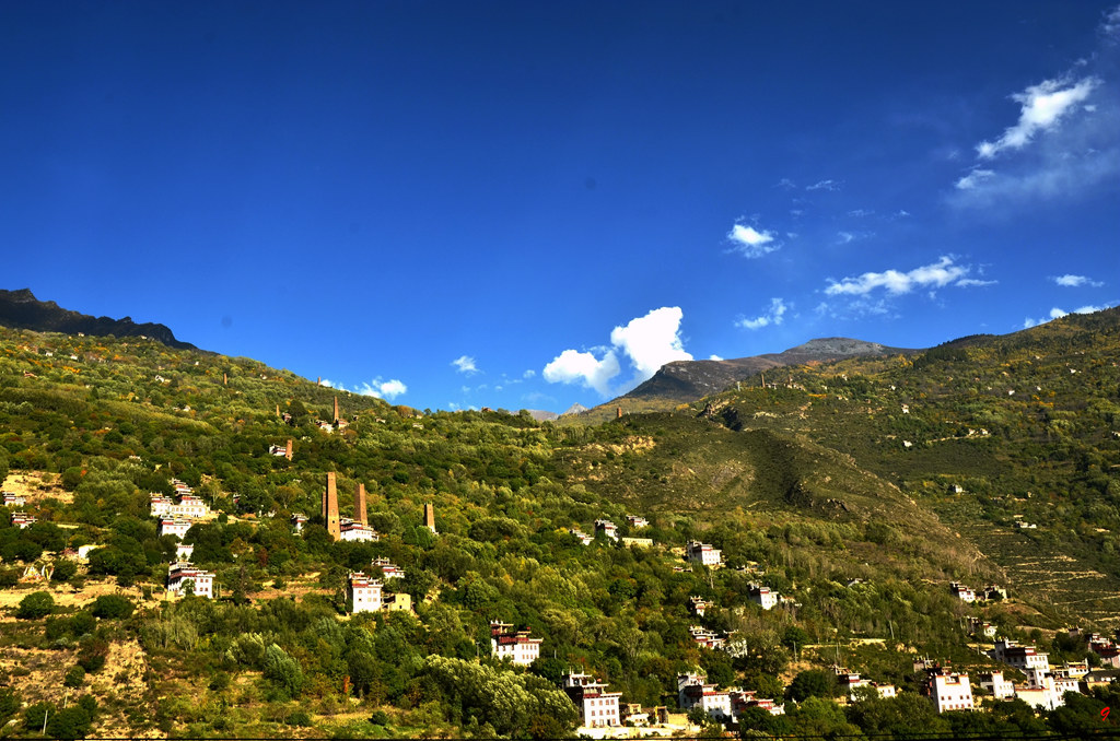 dsc_2004.jpg