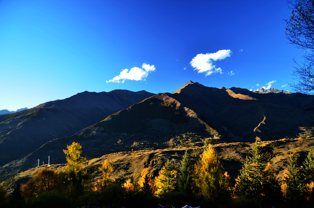 dsc_2679.jpg