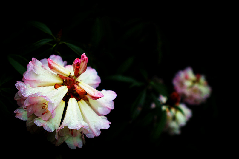 img_8864_副本.jpg