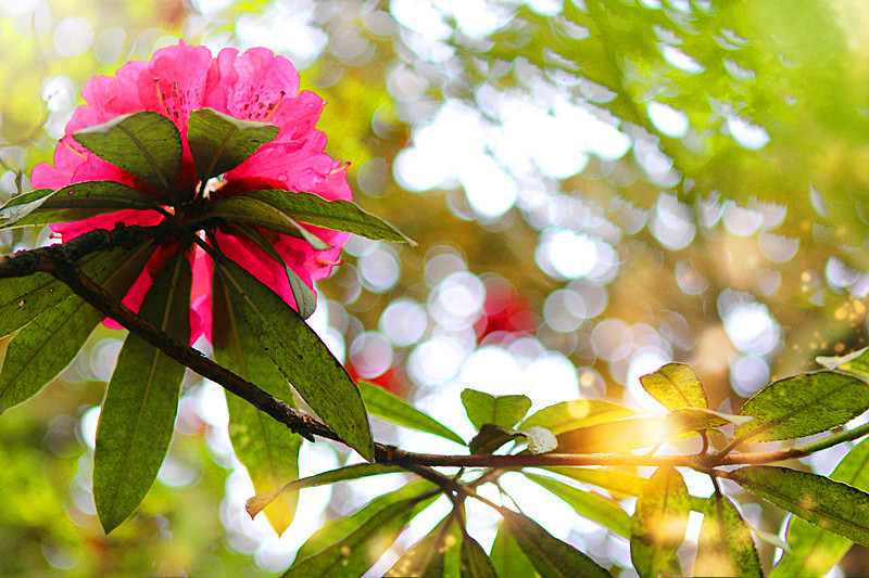 img_9006_副本_3.jpg