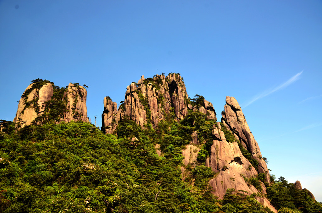 dsc_9588.jpg