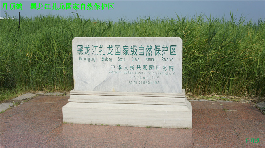 dsc01585_����.jpg