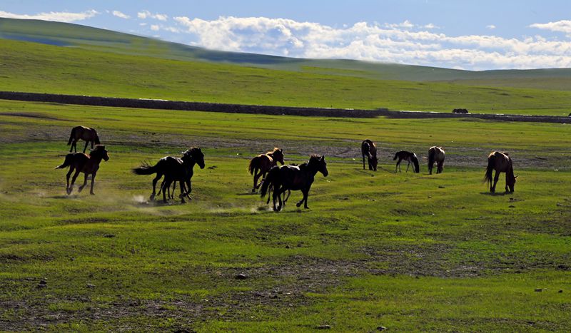 _dsc0188_����.jpg