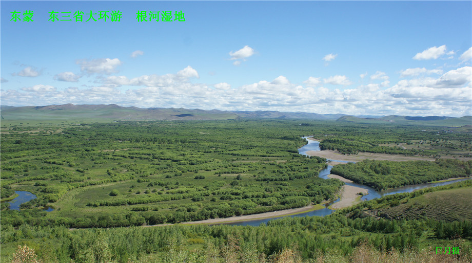 dsc01313_����.jpg