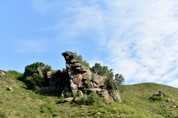 dsc_4829.jpg