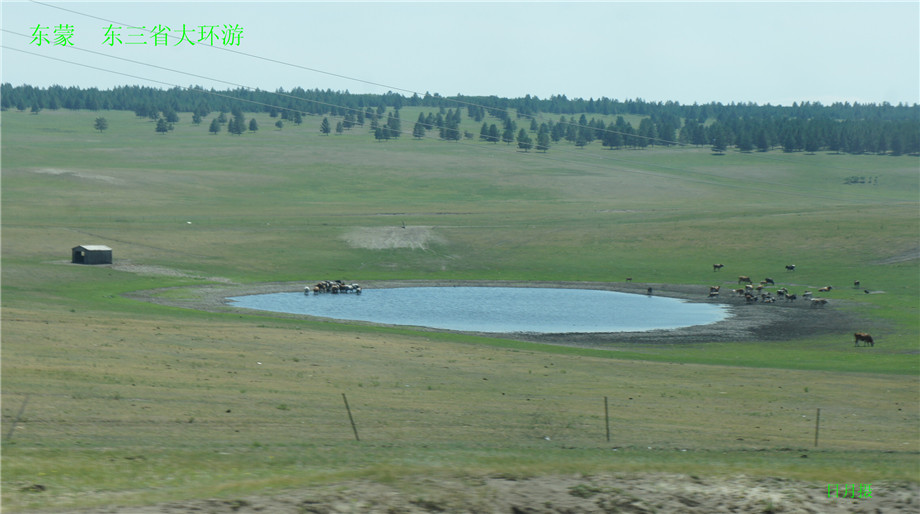 dsc00609_����.jpg