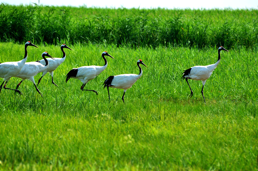 dsc_8591.jpg