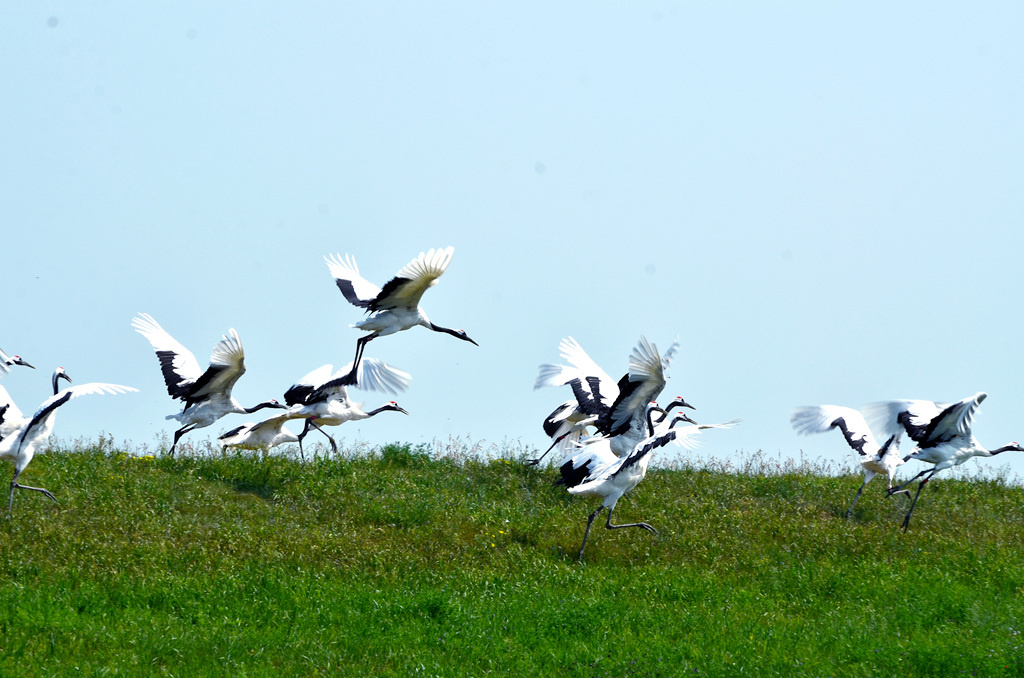 dsc_8566.jpg