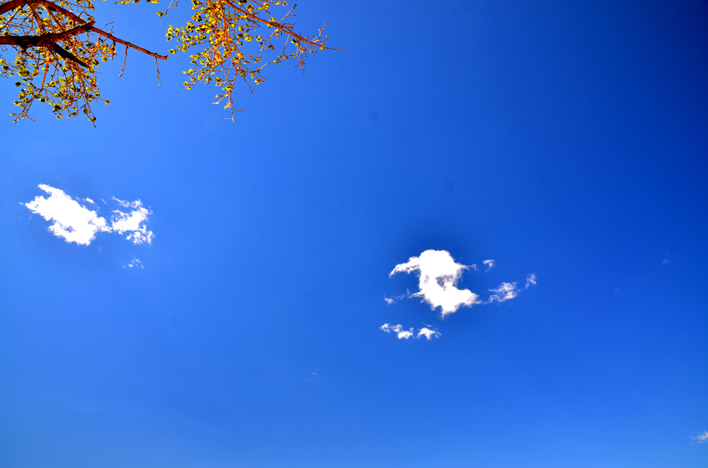 dsc_7686.jpg