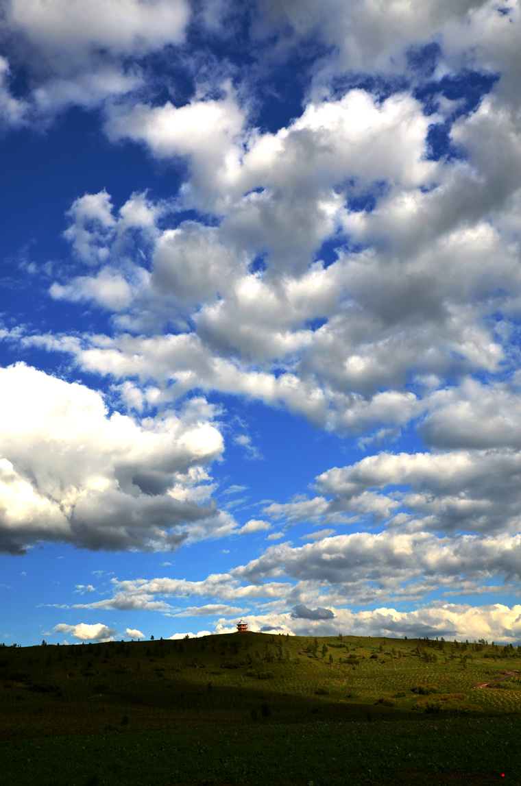 dsc_6969.jpg