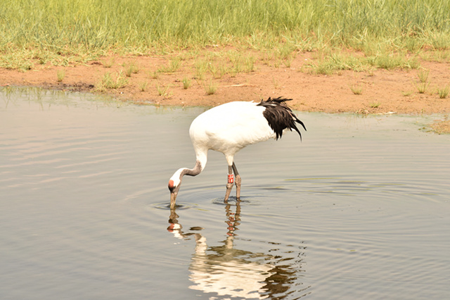 dsc_5667.jpg