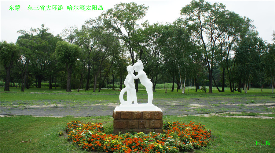 dsc01849_����.jpg