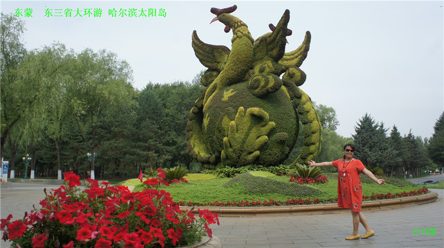 dsc01827_����.jpg
