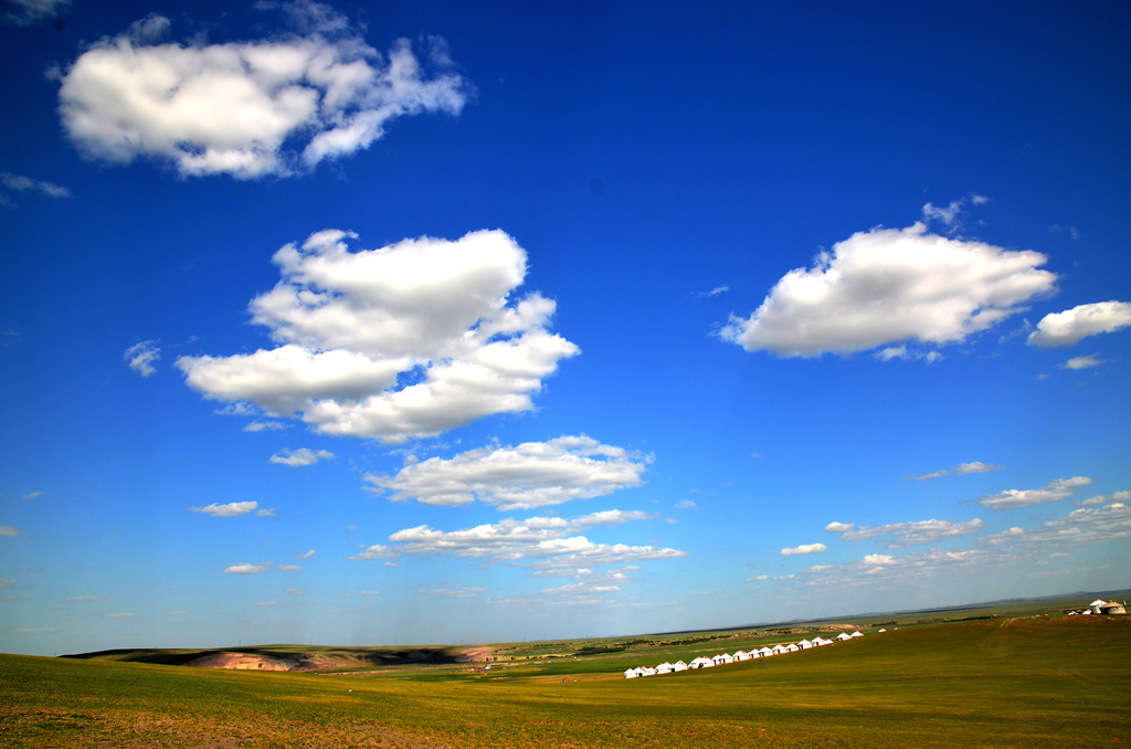 dsc_7309.jpg