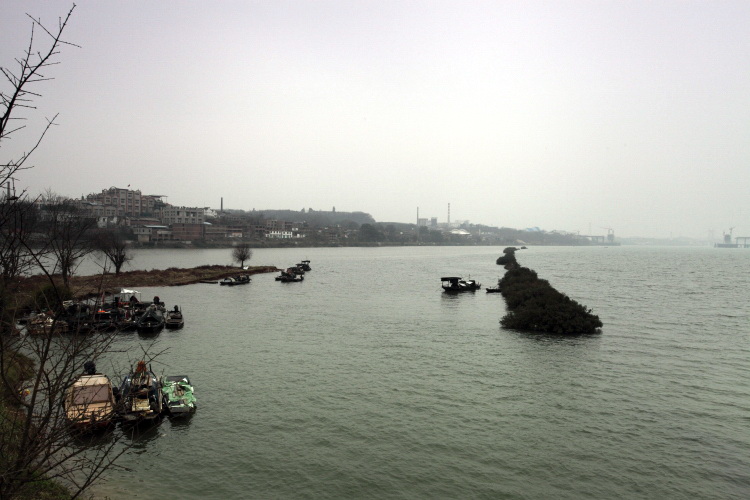 IMG_9129.JPG