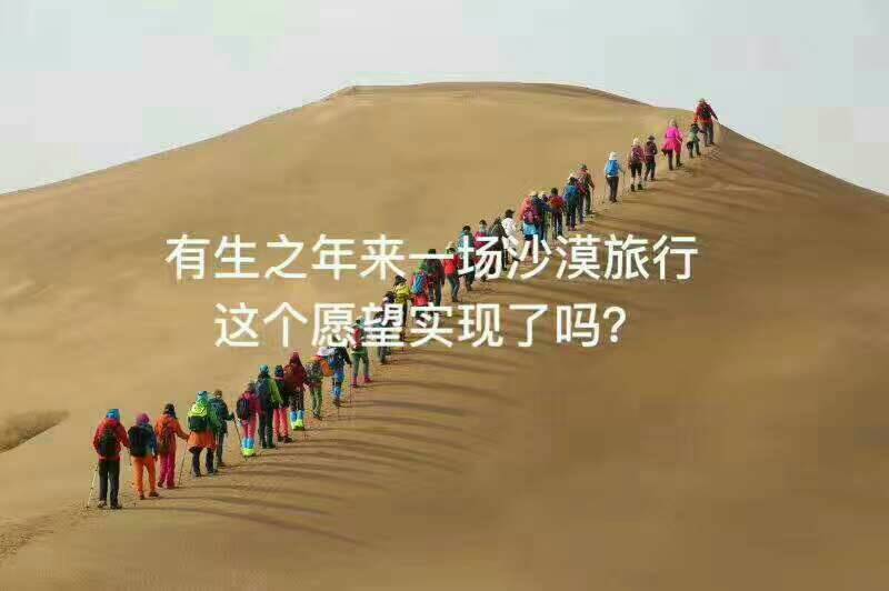 151504vsw7xwwkiz2isptr.jpg