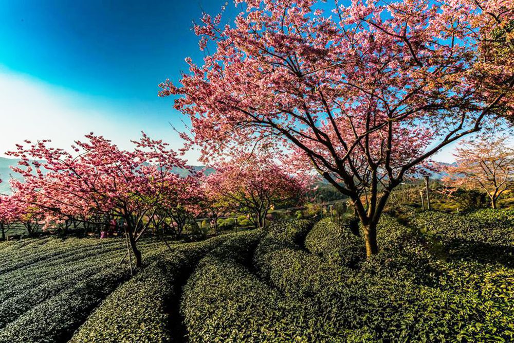 img_0392-2-2-�༭.jpg