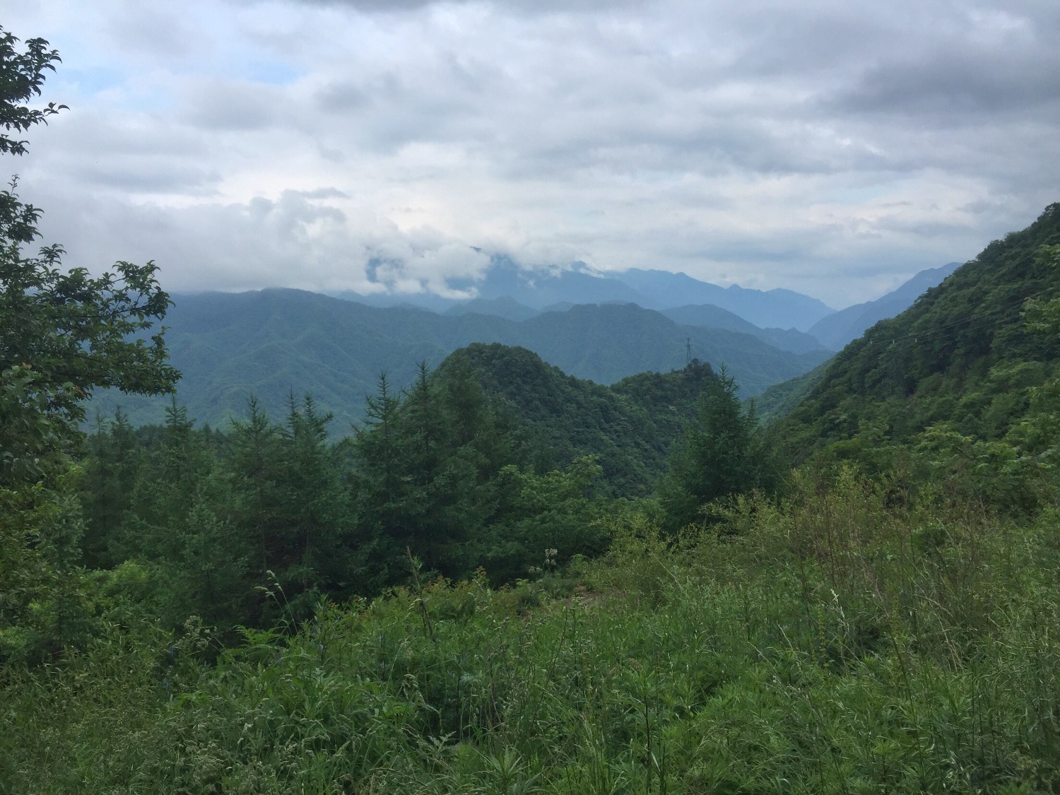 10408891-0B05-434A-8736-23170B790E95.jpeg