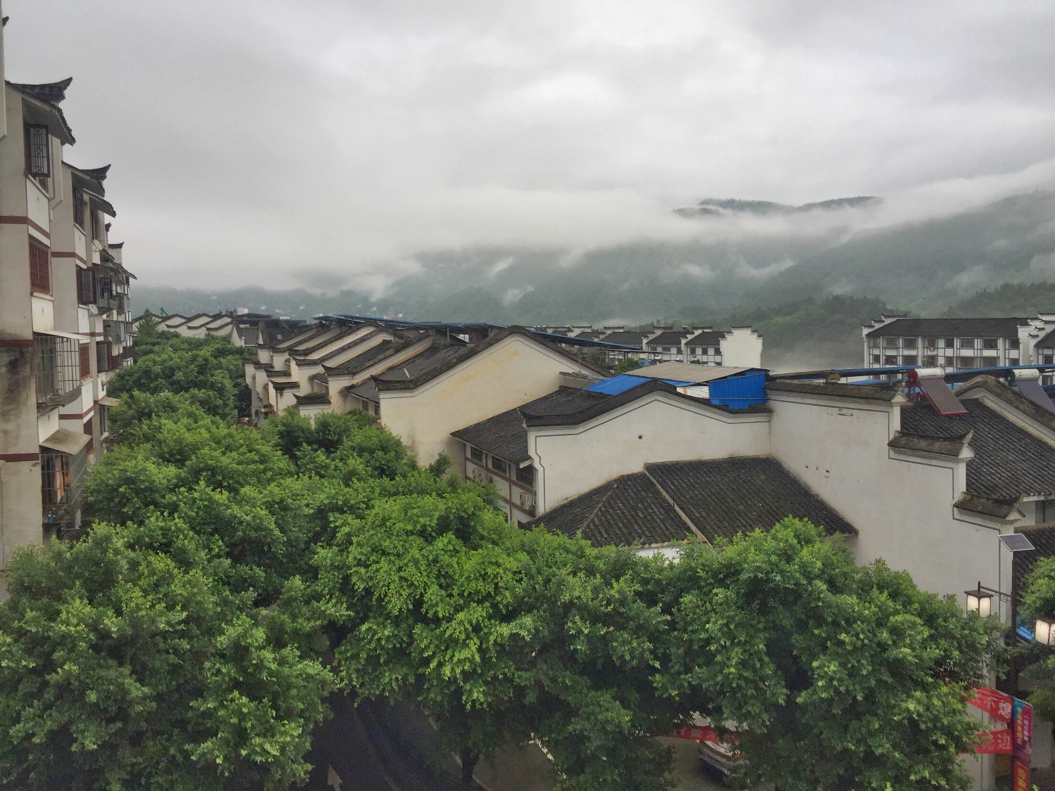 F6D196D0-0775-4302-90DA-AE8A067A0F51.jpeg
