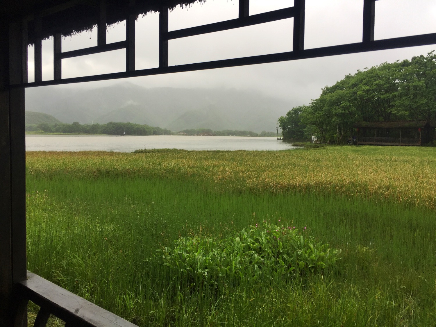 FEF67B67-AB49-4F11-AC56-DE82A75326D8.jpeg