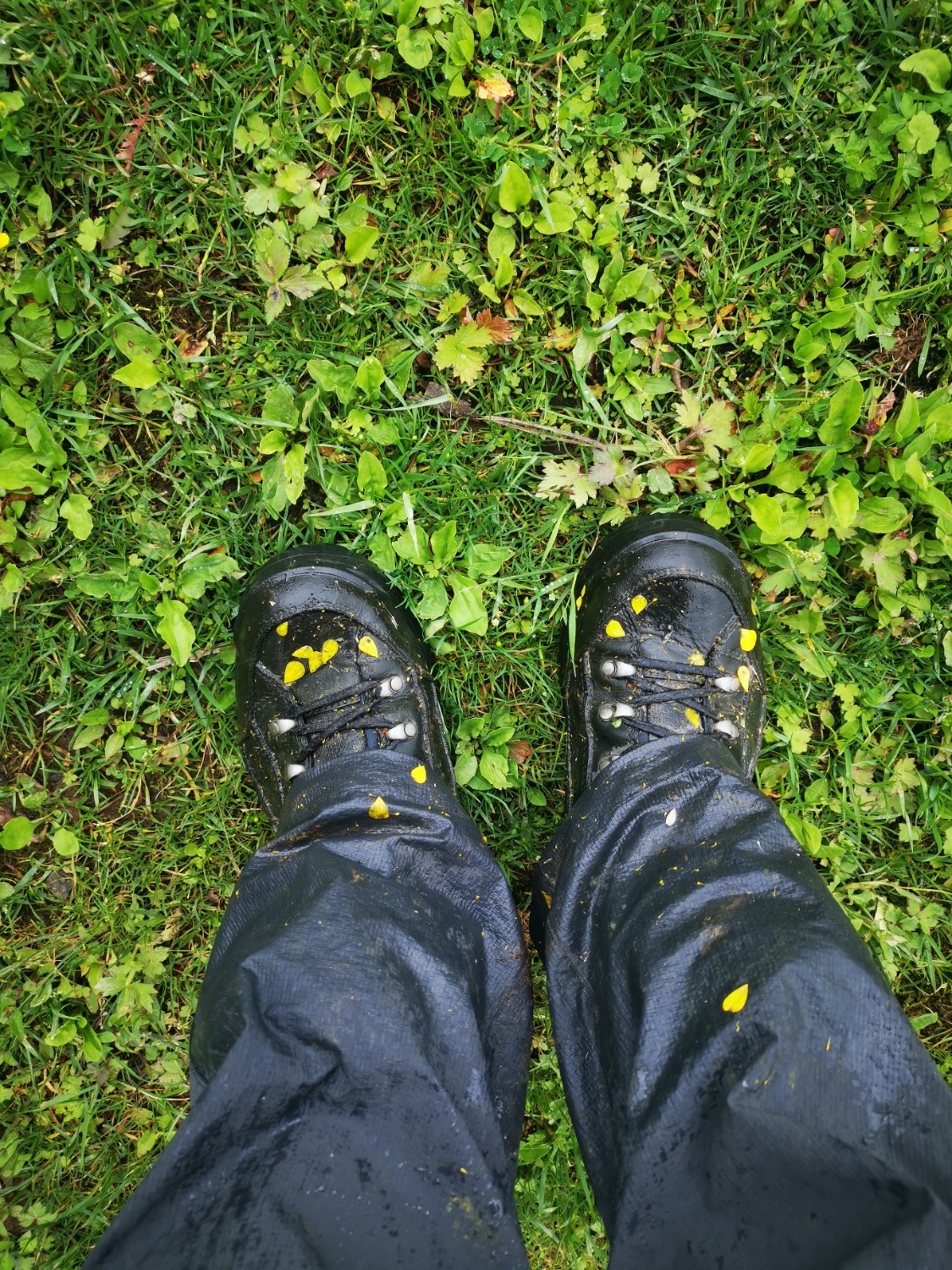 IMG_20200623_115930.jpg