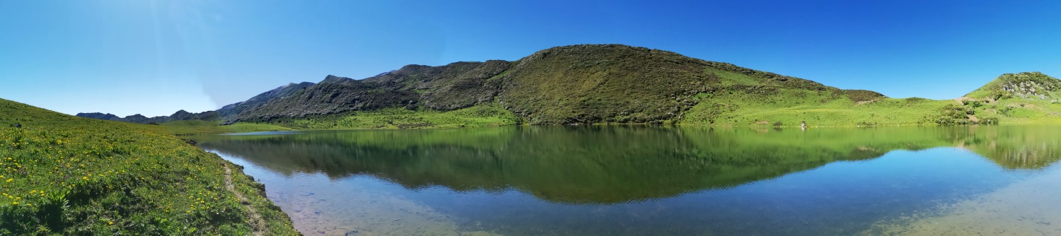 IMG_20200624_094214.jpg