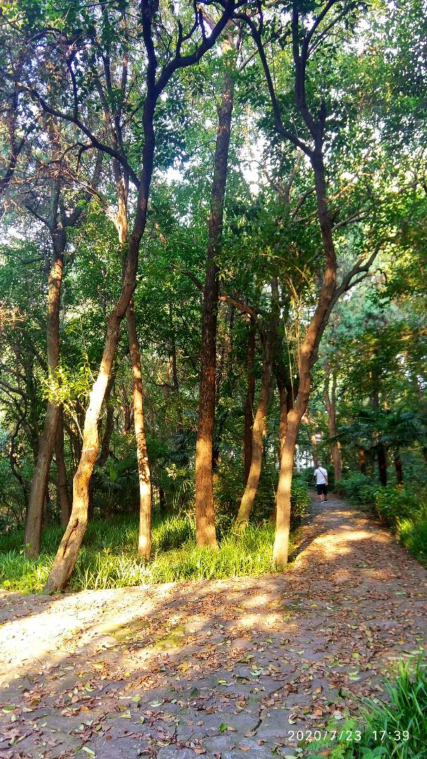 寰俊鍥剧墖_20200723211334.jpg