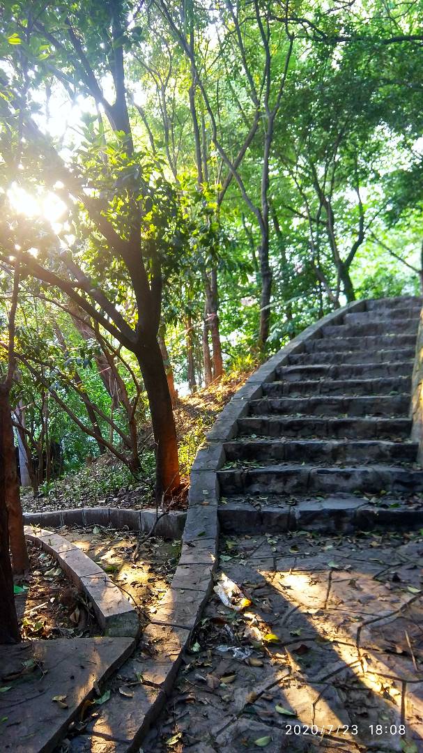 寰俊鍥剧墖_20200723212444.jpg