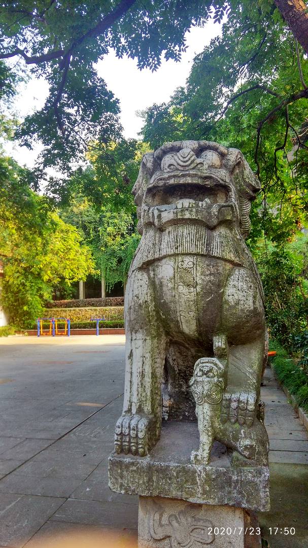 寰俊鍥剧墖_20200723211908.jpg