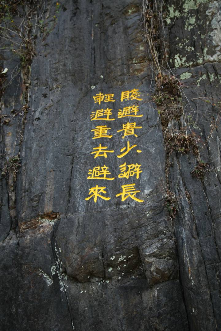 IMG_3520_副本_副本.jpg