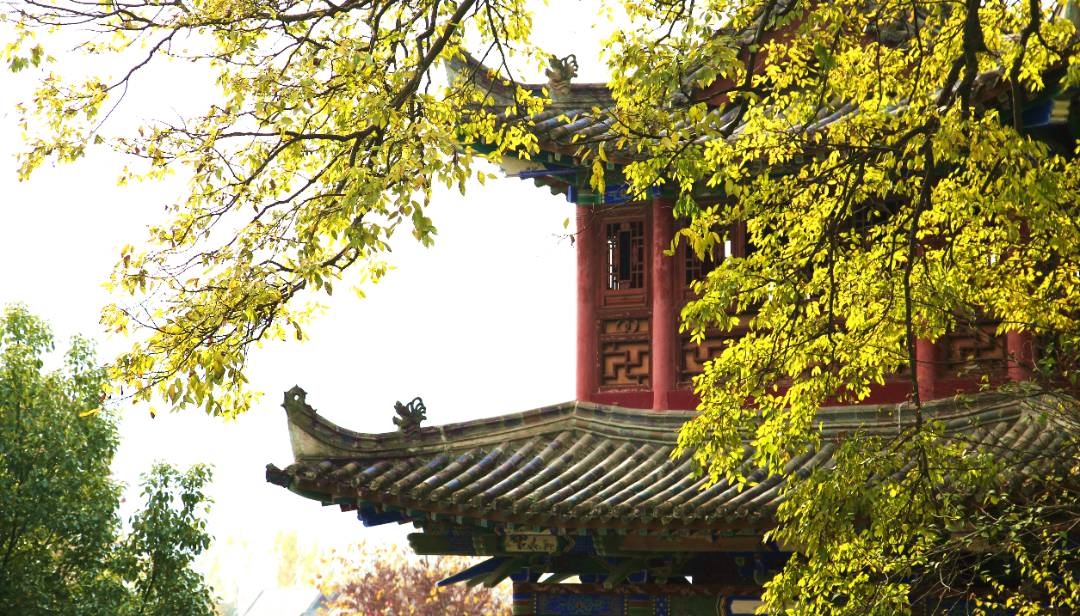 IMG_3573_副本.jpg