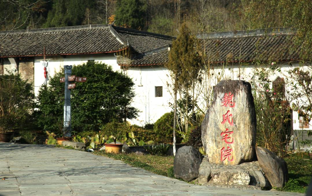 IMG_3695_副本.jpg