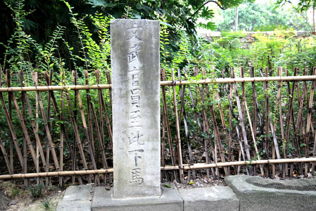 IMG_3922_副本.jpg