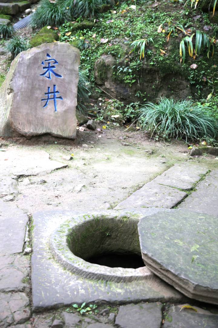 IMG_4221_副本.jpg