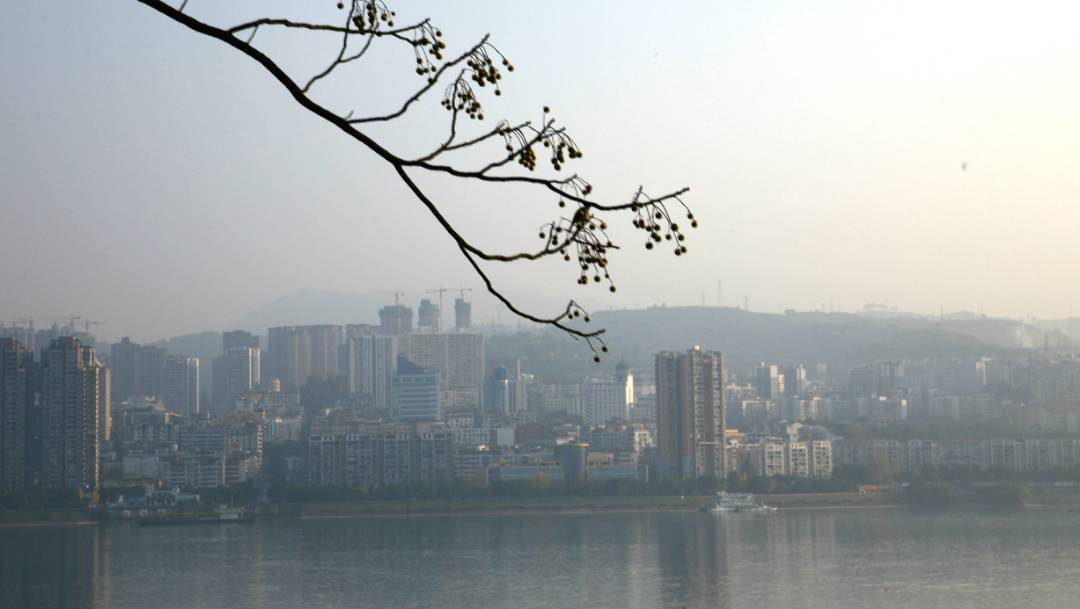 IMG_4341_副本.jpg