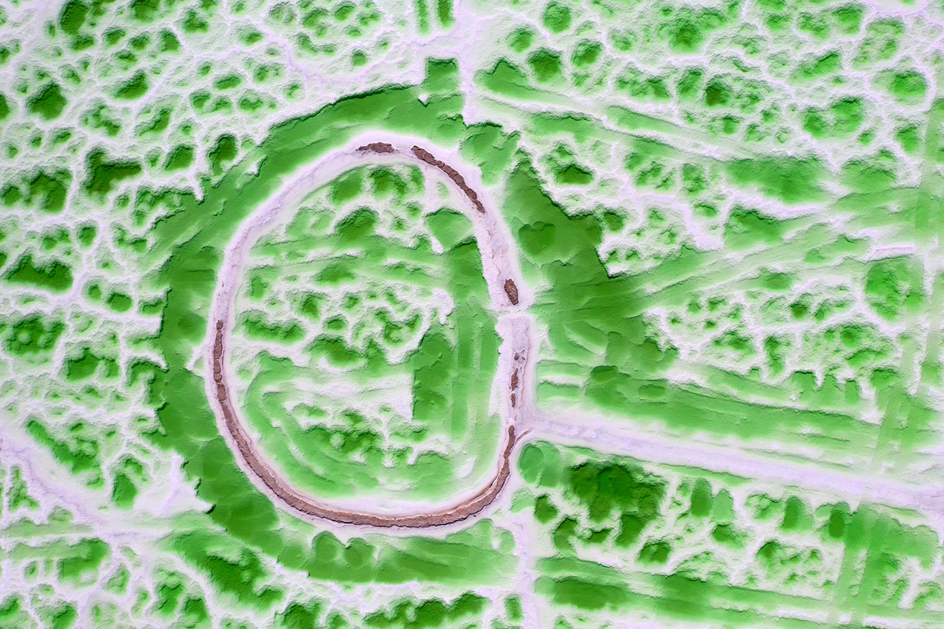DJI_0195_.jpg