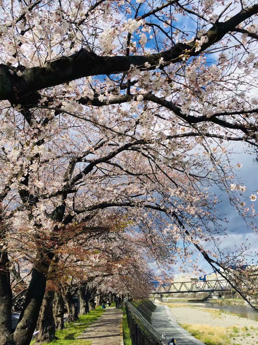 85218D1B-8EF9-4156-AA6D-DC4FBF4992A3.jpeg