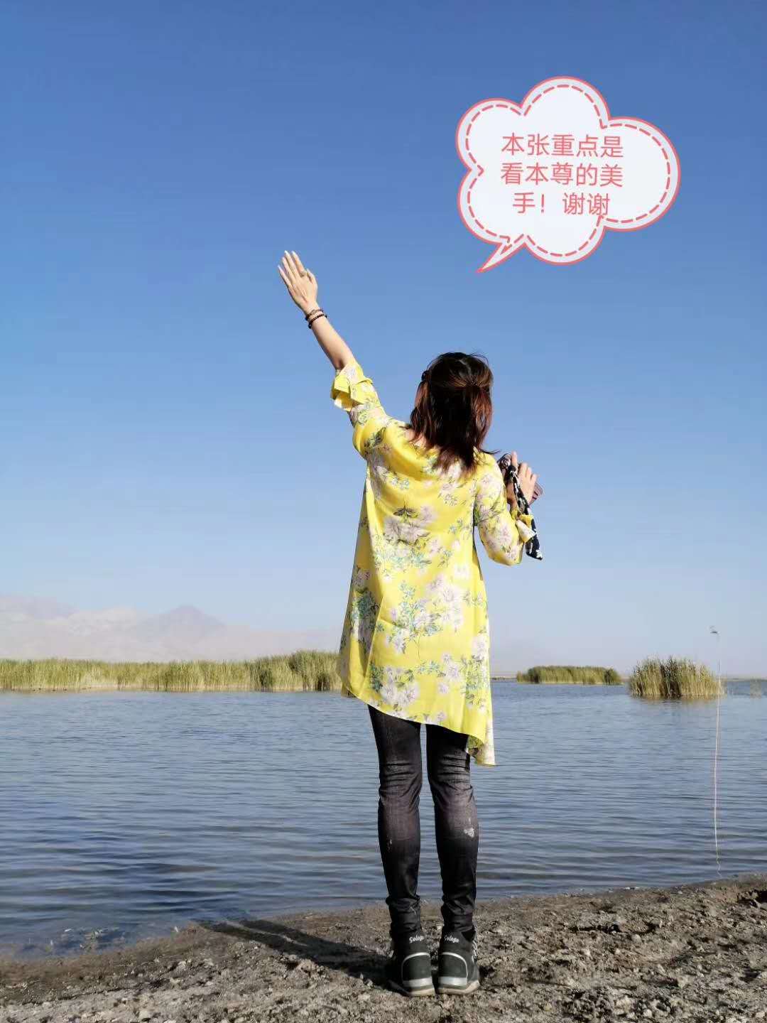 �����ǲ�����̲��