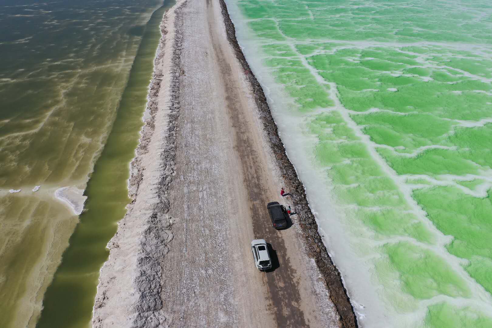 ã������
