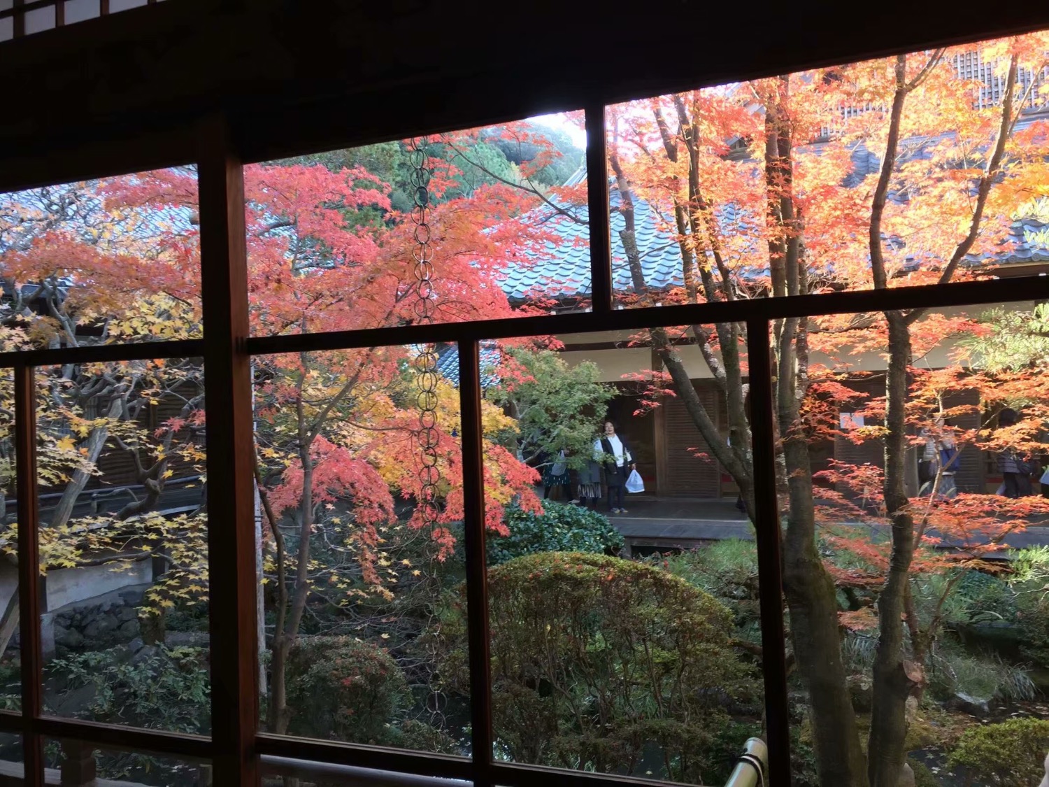 1650CCC0-969E-4064-B31B-C93B2CB32072.jpeg