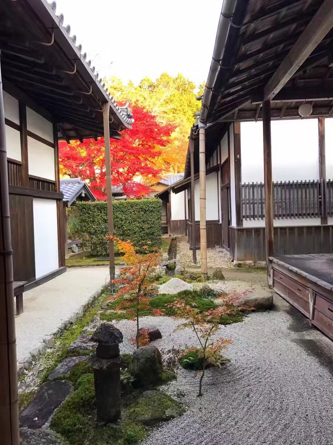 C828ED11-2211-41F0-AB1F-0E3FFFA753C5.jpeg