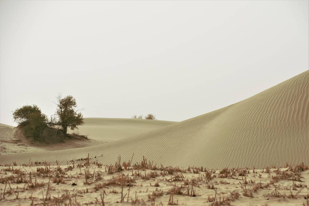 DSC_0072.jpg