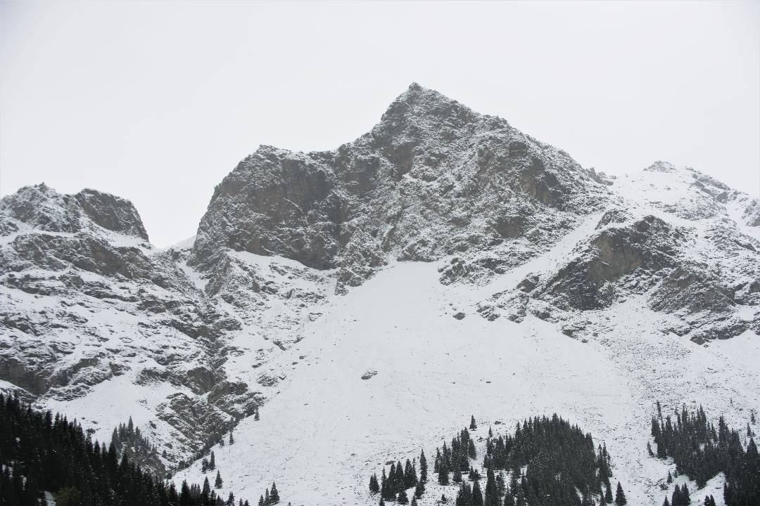 DSC_0330.jpg