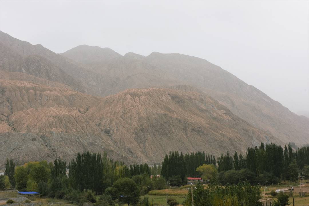 DSC_0347.jpg