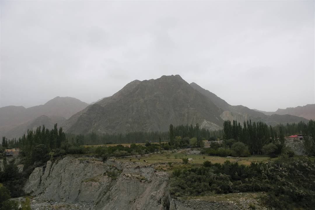 DSC_0352.jpg