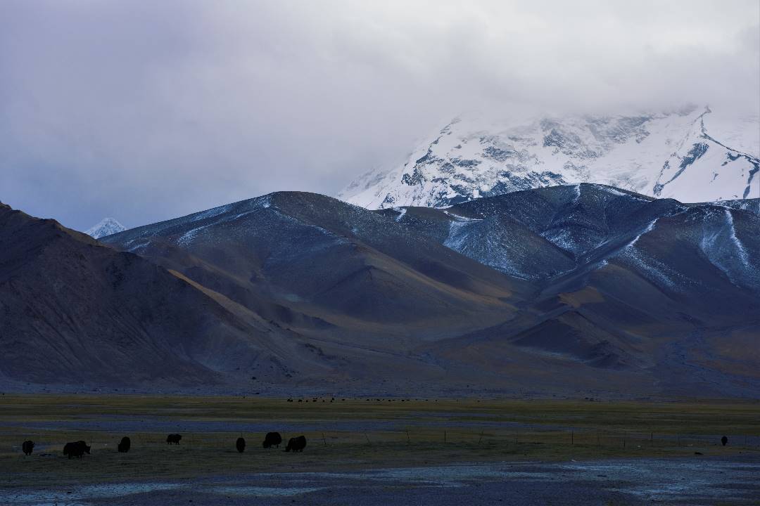 DSC_0492.jpg