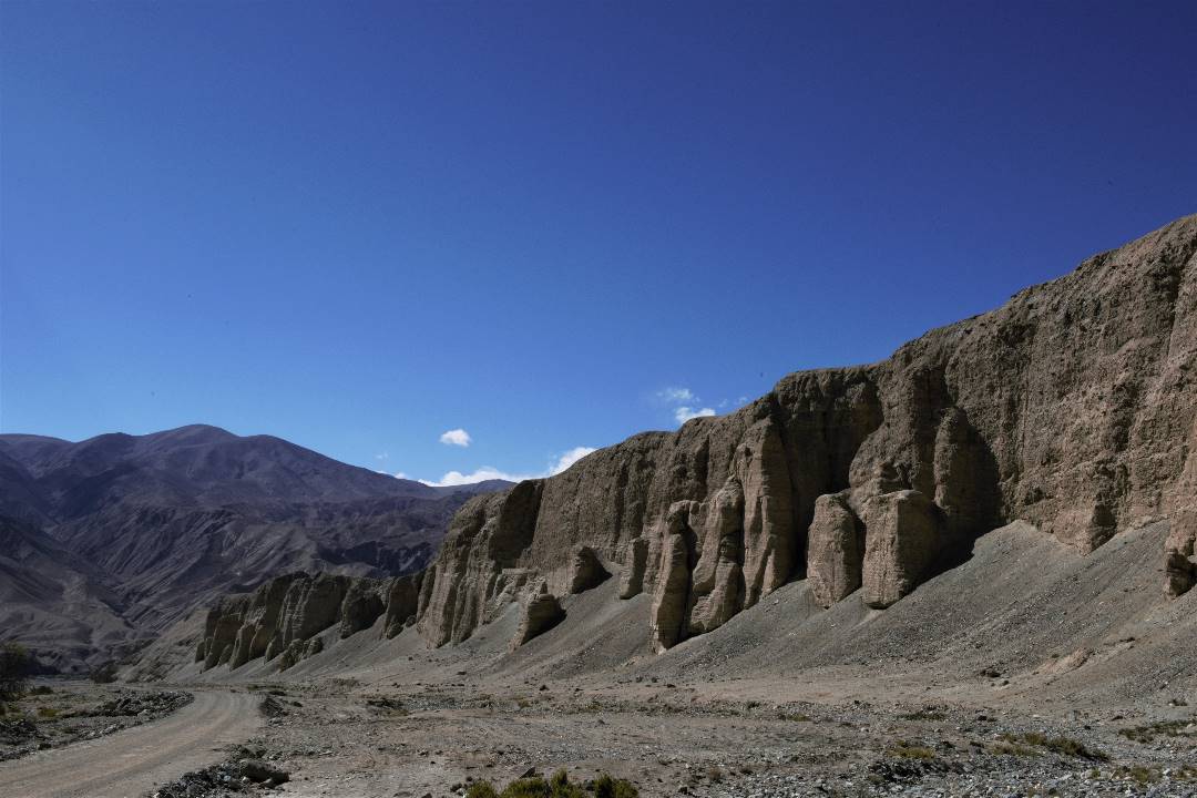 DSC_0814.jpg
