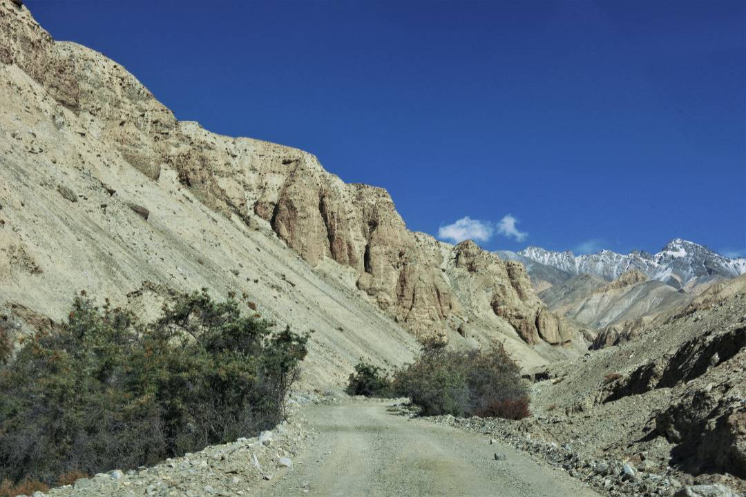 DSC_0804.jpg